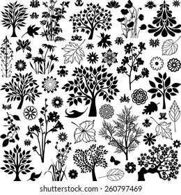 Trees and plants collection