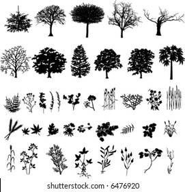 Trees, plants and flower, black silhouette, vector