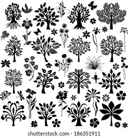 Trees, plants and flowers