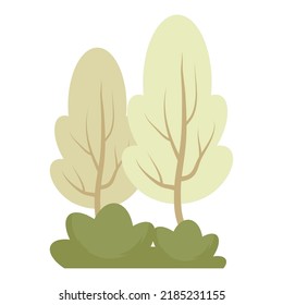 trees plants forest nature scene
