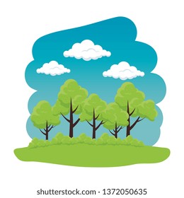 trees plants forest scene