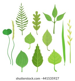 Trees And Plants Leaf Collection