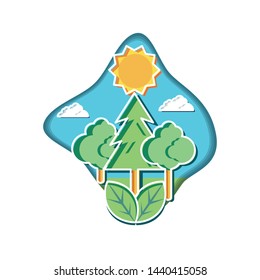 trees plants nature in landscape