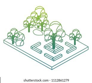 trees plants in the park scene isometric