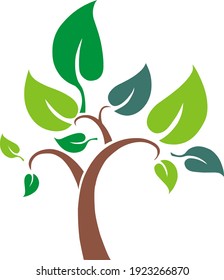 Trees are plants that have a trunk and branches, and are made of wood.