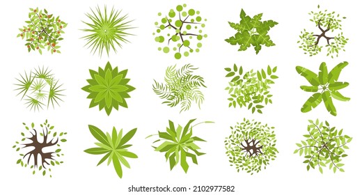 Trees and plants top view for architectural and landscape design. Different colored plants, grass and trees vector set. Graphic, isolated on white. Elements for design projects. Green spaces.