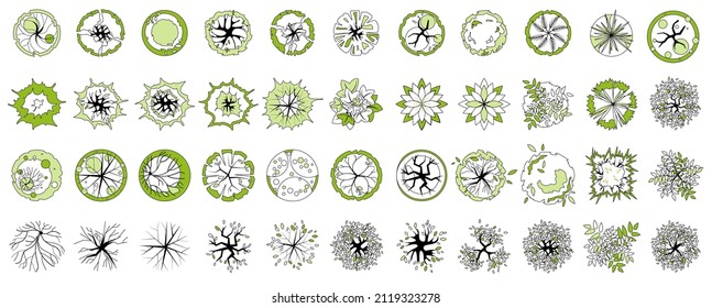 Trees and plants top view for architectural or landscape design. Linear Icon set of trees and grass. Black and white graphic. Vector illustration for green spaces. Element for design project