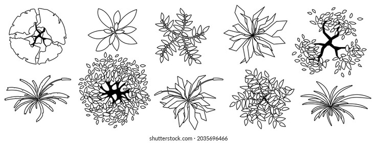 Árboles y plantas vista de arriba. Diferentes césped y árboles de colores para el diseño arquitectónico y paisajístico. Gráfico en blanco y negro, aislado en blanco. Ilustración vectorial. Elementos para proyectos de diseño