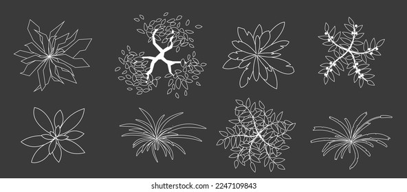 Trees and plants top view. Different uncolored grass and trees set for architectural and landscape design. Black and white graphic, isolated on white. Vector illustration. Elements for design projects