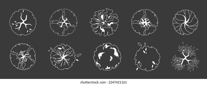Trees and plants top view. Different uncolored grass and trees set for architectural and landscape design. Black and white graphic, isolated on white. Vector illustration. Elements for design projects