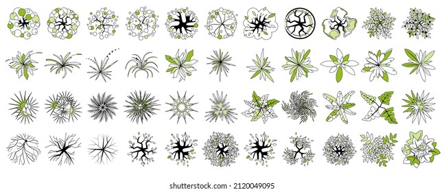 Trees Plants Top View Icon Set Stock Vector (Royalty Free) 2120049095 ...