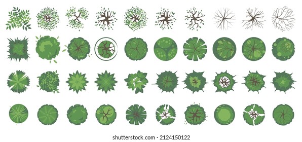 Trees and plants top view. Icon set of colored trees and grass for architectural and landscape design. Green spaces. Element isolated on white. Vector illustration. Element for design project