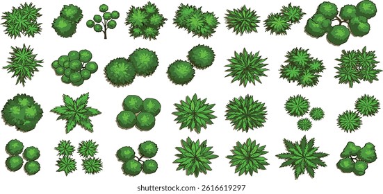 Trees and plants top view. Icon set of colored trees and grass for architectural and landscape design.