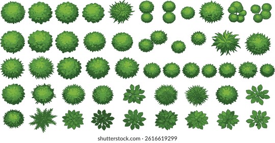 Trees and plants top view. Icon set of colored trees and grass for architectural and landscape design.