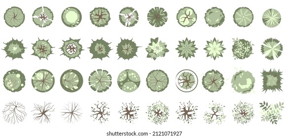 Trees and plants top view for landscape design. Icon set of colored trees and grass for architectural map, plan. Green space. Element isolated on white. Vector illustration. Kit for design project