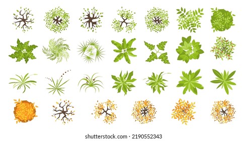 Trees and plants top view for landscape design. Icon set of colored trees and grass for architectural map, plan. Green space. Element isolated on white. Vector illustration. Kit for design project