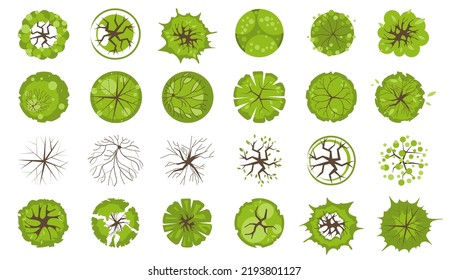 Trees and plants top view for landscape design. Icon set of colored trees and grass for architectural map, plan. Green space. Element isolated on white. Vector illustration. Kit for design project