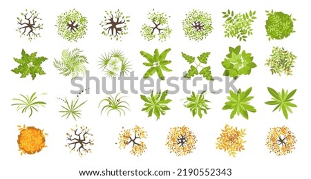 Trees and plants top view for landscape design. Icon set of colored trees and grass for architectural map, plan. Green space. Element isolated on white. Vector illustration. Kit for design project