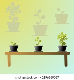 trees in polybags or pots on the table, the process of growing plants from small to large, go green concept 