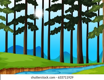 Trees and river in the forest illustration