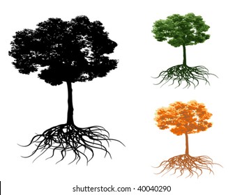trees root