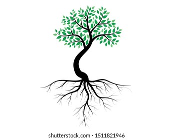 Trees and root with green leaves look beautiful and refreshing. Tree and roots LOGO style.