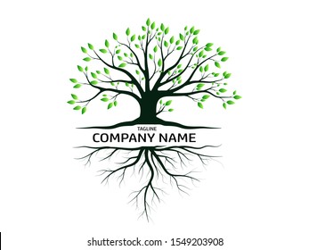 Trees and root with green leaves look beautiful and refreshing. Tree and roots LOGO style.