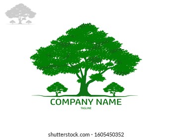 Trees and root with green leaves look beautiful and refreshing.Tree and roots LOGO style.