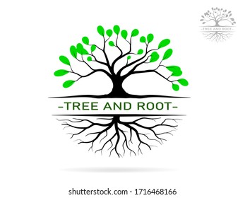 Trees and root with green leaves look beautiful and refreshing. Tree and roots LOGO style.