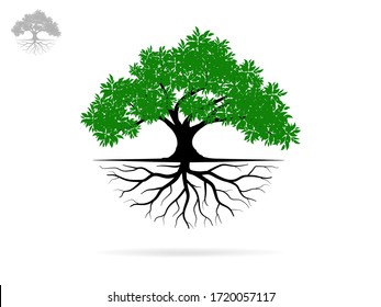 Trees and root with green leaves look beautiful and refreshing. Tree and roots LOGO style.