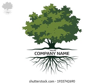 Trees and root with green leaves look beautiful and refreshing. Tree and roots LOGO style.