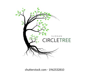 Trees and root with green leaves look beautiful and refreshing. Tree and roots LOGO style.