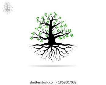 Trees and root with green leaves look beautiful and refreshing. Tree and roots LOGO style.