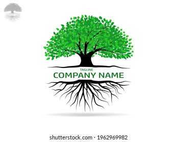 Trees and root with green leaves look beautiful and refreshing. Tree and roots LOGO style.