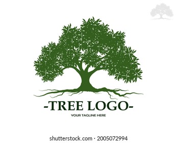 Trees and root with green leaves look beautiful and refreshing. Tree and roots LOGO style.