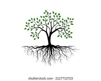 Trees and root with green leaves look beautiful and refreshing. Tree and roots LOGO style.