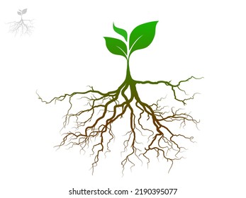 Trees and root with green leaves look beautiful and refreshing. Tree and roots LOGO style.