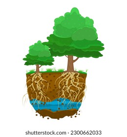 Trees with root system in soil. Tree growing in the soil. Plant with strong roots.Dirt layers, water and root.Cross section ground slice.Underground layers of earth and groundwater.Vector illustration