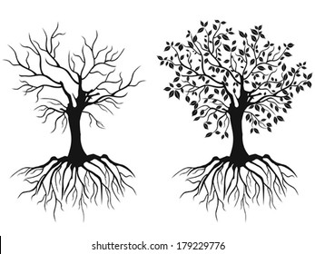 trees with roots