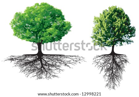 Trees Roots Stock Vector (Royalty Free) 12998221 - Shutterstock