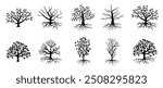 Trees with roots, foliage and fallen leaves isolated on white background. silhouette of tree.