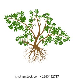 Trees and roots are isolated on a white background. Illustration vector