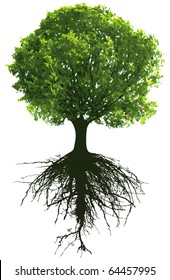 Trees with roots. This image is a vector illustration and can be scaled to any size without loss of resolution.