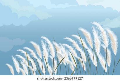 Trees Saccharum Spontaneum flowers or Kashfull silhouette with sky vector illustration