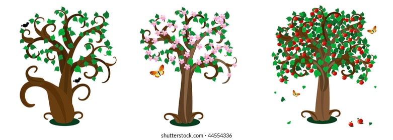 trees seasons