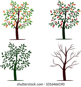 trees seasons vector set