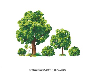 Bush Tree Images, Stock Photos & Vectors | Shutterstock