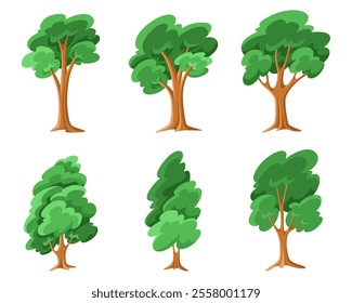 Trees set. Forest foliage plants. Lush leaf canopy of deciduous and coniferous. Summer wood. Green leafy crowns and trunks. Botanical natural flat vector illustration isolated on white background