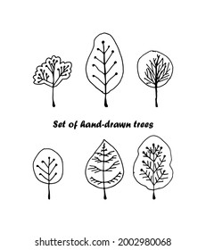 Trees set. Hand drawn doodle monochrome illustration. Vector.