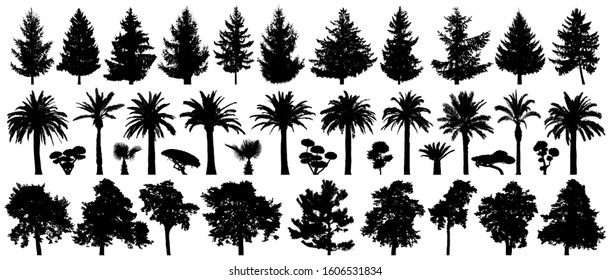 Trees set isolated. Forest background, nature, landscape. Pine, spruce, Christmas tree, palm tree, bushes. Silhouette vector illustration